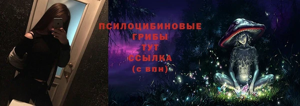 прущие грибы Беломорск