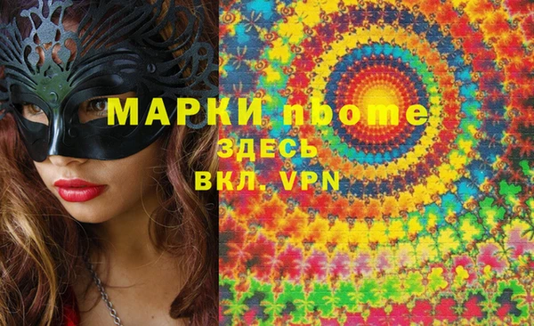 прущие грибы Беломорск